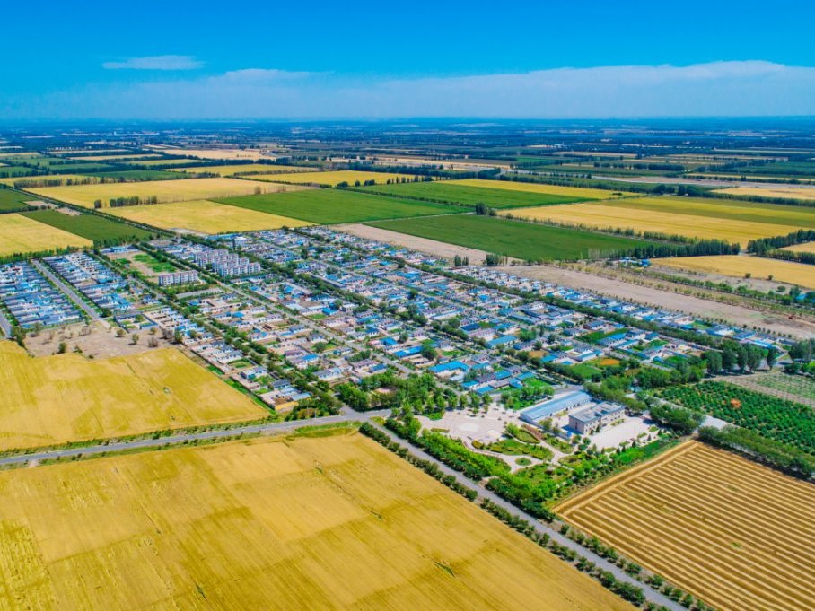 Xinjiang (Changji) base — open-field multiplication blocks for melons and watermelon